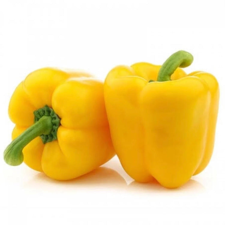 Capsicum Yellow