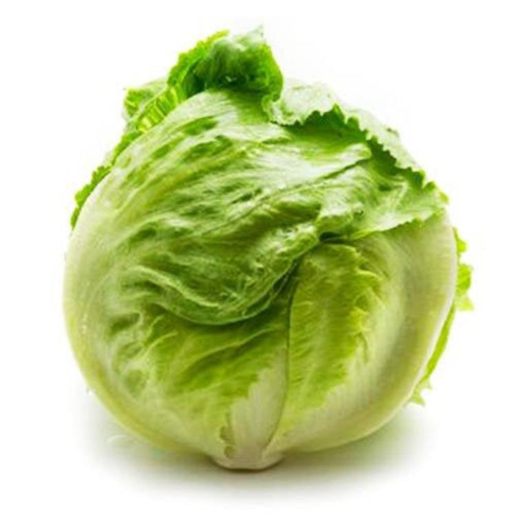Lettuce - Iceberg image 0