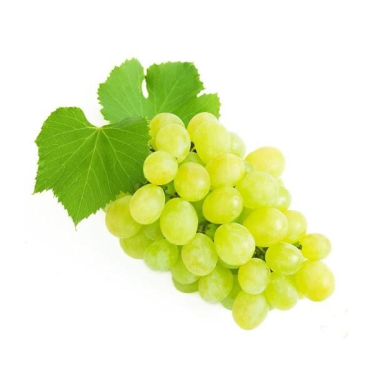 Grapes White Seedless - Kg image 0