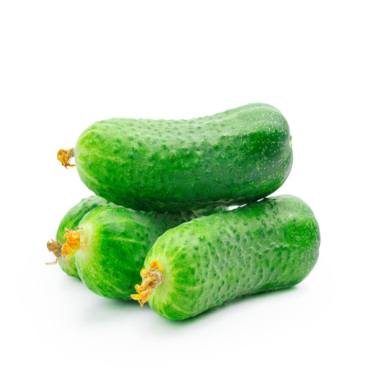 Baby Cucumber image 0