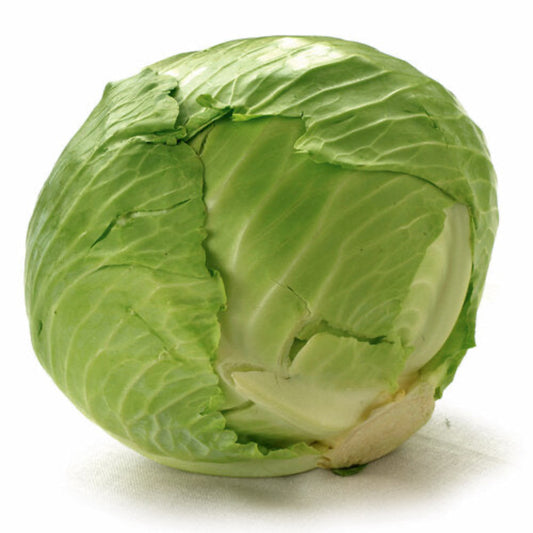Cabbage-Whole image 0