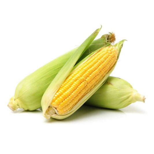 Corn image 0