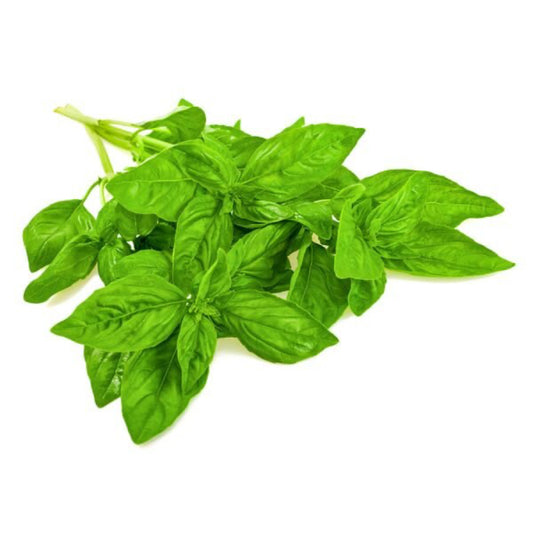 Basil - Bunch image 0