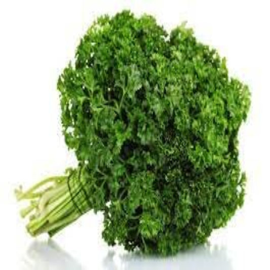 Curly Parsley image 0