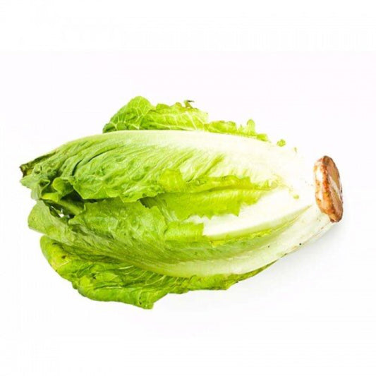 Lettuce - Midi Cos image 0