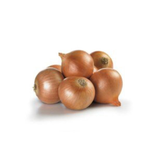 Brown Onion- Each image 0