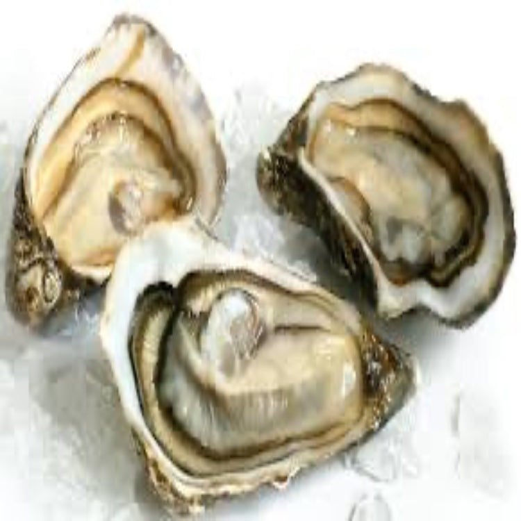 Pre Order Christmas Oysters Dozen- Pick up Tuesday 24th December image 0