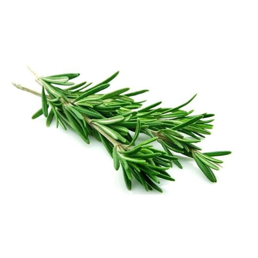 Rosemary - Bunch image 0