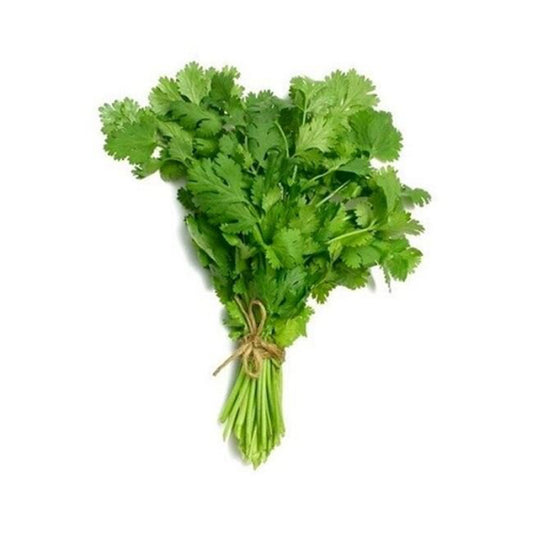 Coriander - Bunch image 0
