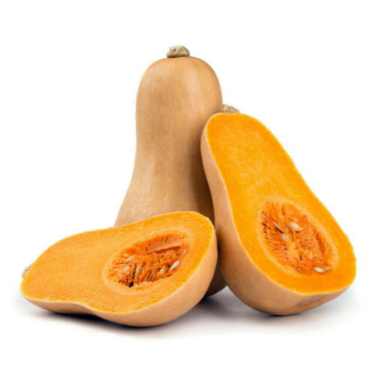 Pumpkin Butternut- Whole image 0