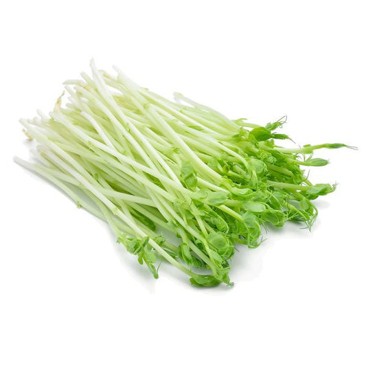 Snowpea Sprouts